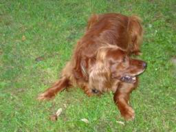 Resize of DSC01044.JPG